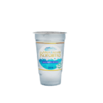 copo agua 250ml Água Monte Roraima600
